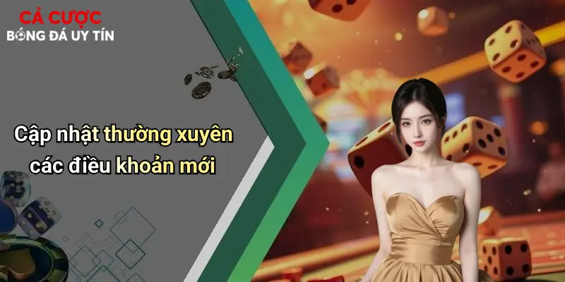 Cập nhật thường xuyên các điều khoản mới