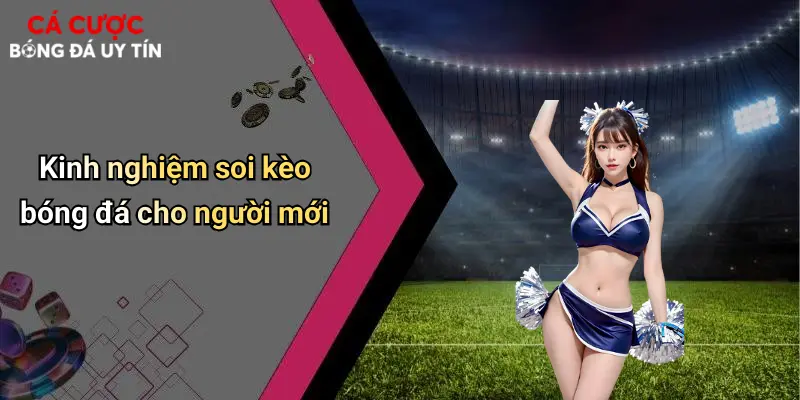 Kinh nghiệm soi kèo bóng đá cho người mới