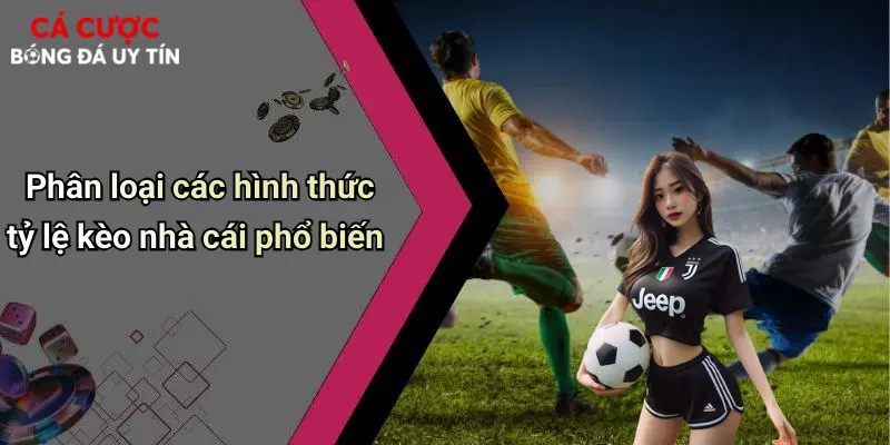 Phân loại các hình thức tỷ lệ kèo nhà cái phổ biến